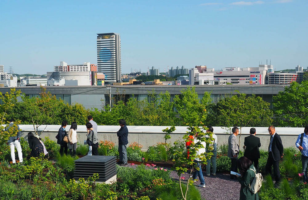 Vườn trên mái tại trụ sở Green Wise