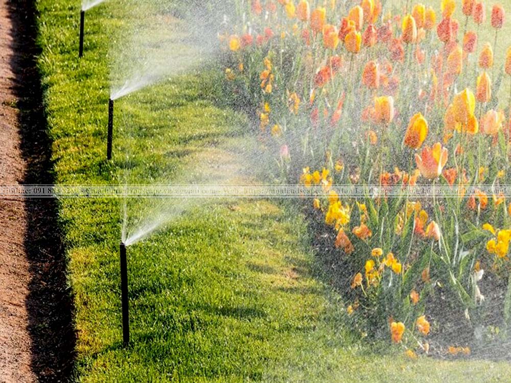 Hệ thống tưới tự động phun mưa